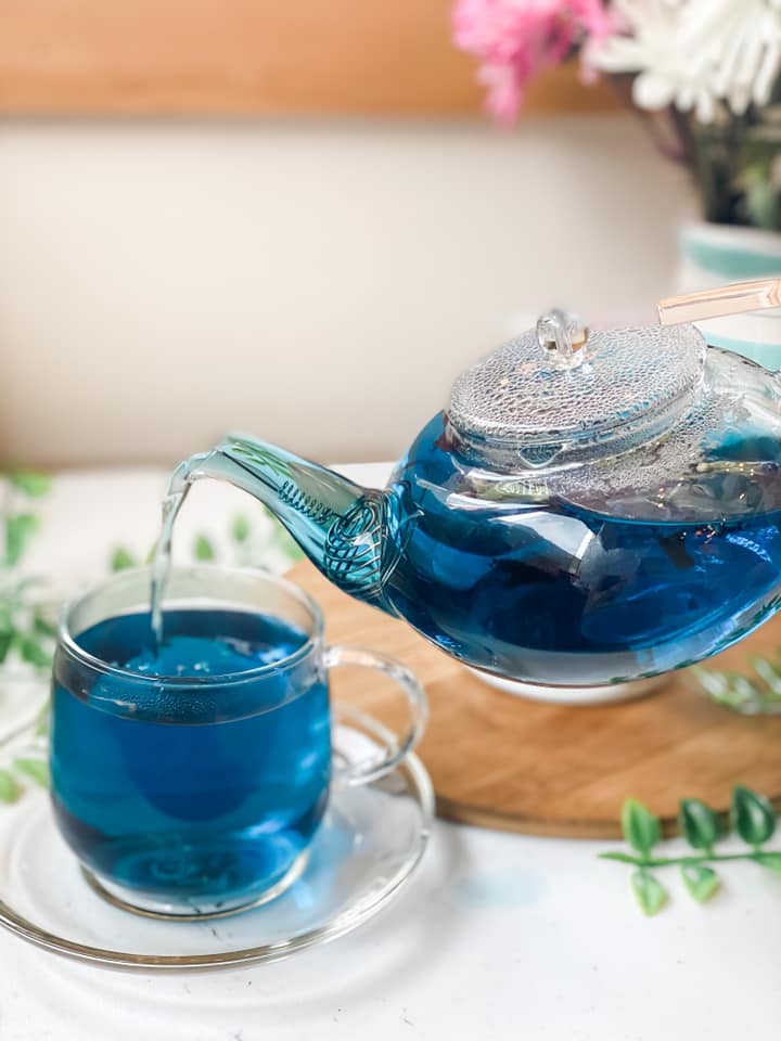 Butterfly Pea